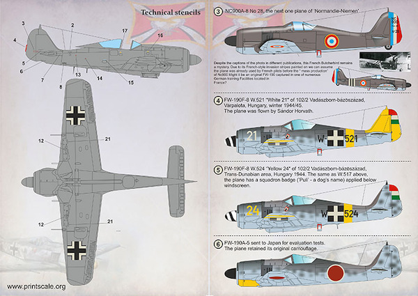 Focke Wulf FW190 in Foreign Service Part 1  PRS72-393