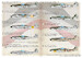 Focke Wulf FW190D-9 Part 1  PRS72-429
