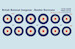 British National Insignia - Hawker Hurricane 1938-1939  PRS72-445