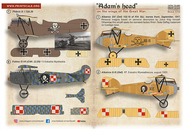 "Adam`s head" on the wings of the Great War PRS72-490