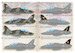 Hawker Siddeley Hawk T1/T1a  PRS72-493