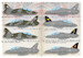 Hawker Siddeley Hawk T1/T1a PRS72-493