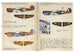 Curtiss P-40 In the service of foreign armies. Part-1  PRS72-524