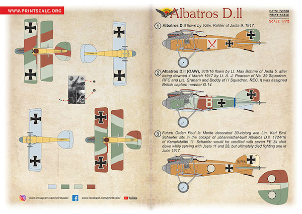 Albatros D.II PRS72-528