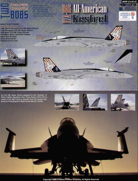 F/A18E Super Hornet All-American Kestrel (VFA137 Kestrels) tb48-173