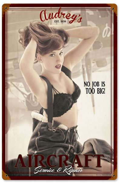 Audrey's Aircraft Service & Repair: No job is too big! - pinup PTS-EC010