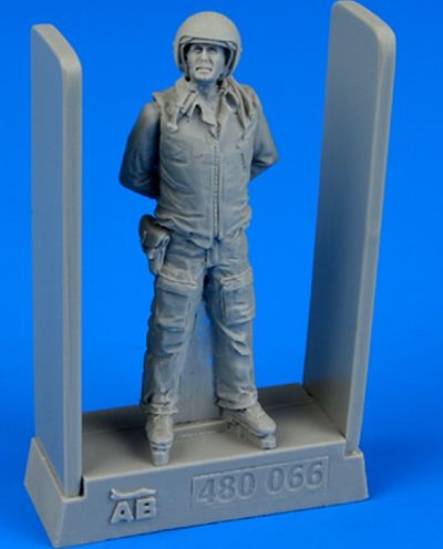 Soviet Air Force Fighter Pilot 480-066