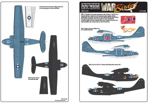 Consolidated PBY5A Catalina