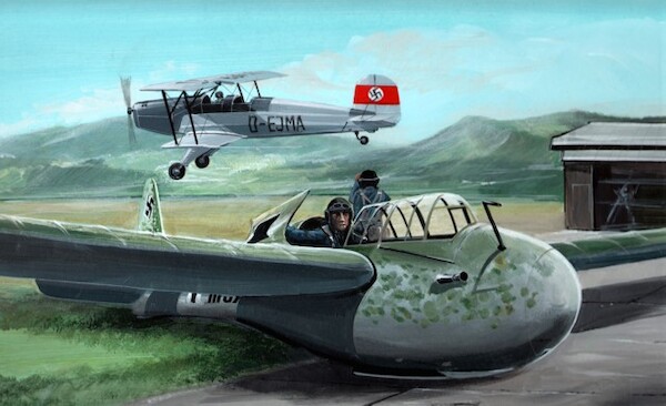 DFS Kranich II part 2 (REEDITION with injected canopy) azcz39