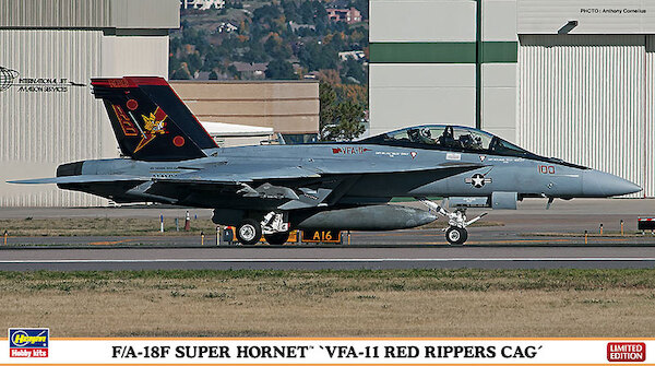 F/A18F Super Hornet