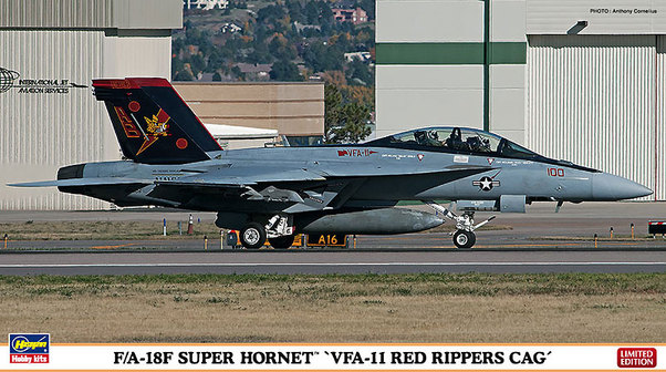 F/A18F Super Hornet