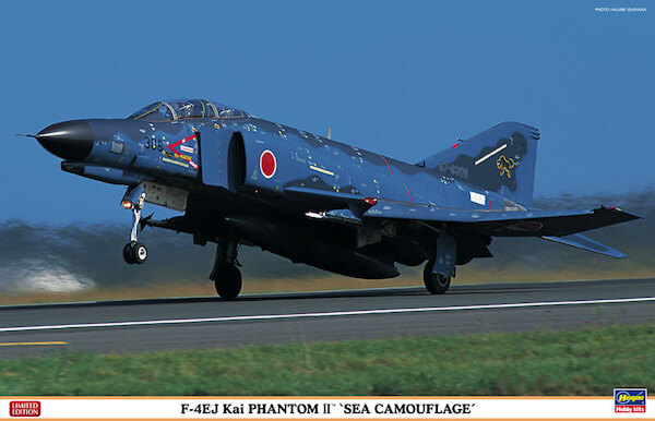 F4EJ Kai Phantom II 'Sea camouflage