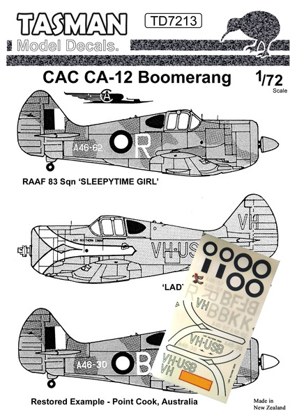 CAC Ca12 Boomerang TD7213