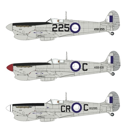 Boring Old Silver - Spitfire MKVc (Various RAAF) RRD7235