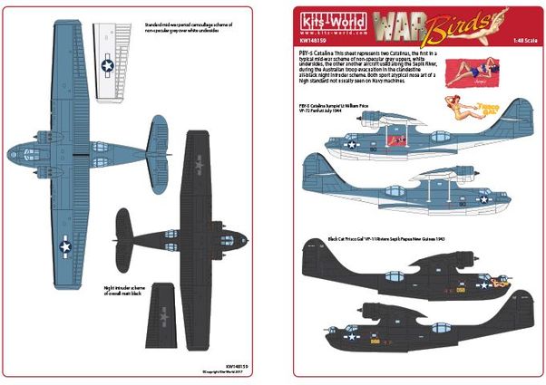 Consolidated PBY5A Catalina