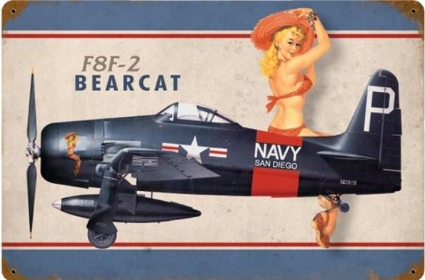 F8F Bearcat metal poster - pin up YD2355B