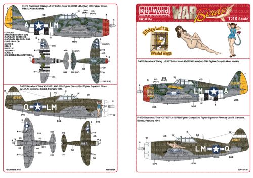 Republic P 47d Razorback Aviationmegastore Com