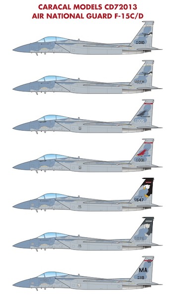 F15C/D Eagle (ANG) CD72013