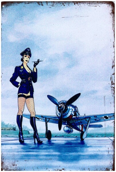 German officer pin up in front of Focke Wulf metal poster metal sign YD6790DI