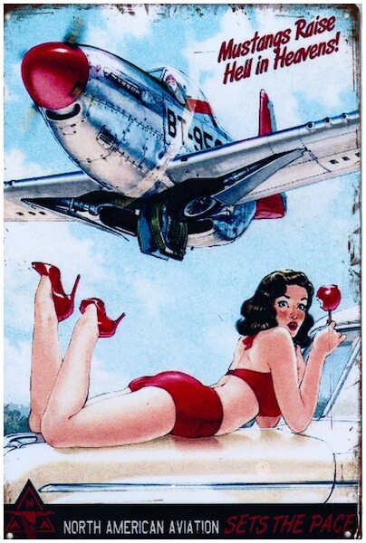 Mustangs raise hell in Heaven pin up metal poster metal sign North American Aviation sets the pace YD6794DI
