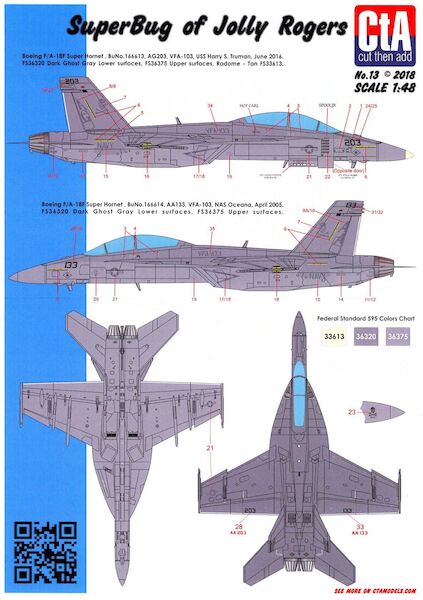 SuperBug of Jolly Rogers - VFA-103 F/A-18F Super Hornet, 2 Marking options, Low Vis. CTA-013