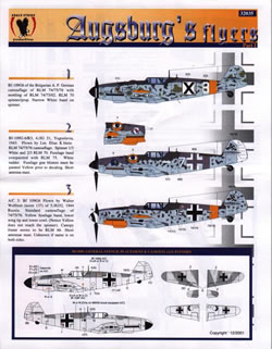 Augsburg`s flyers (BF109G-6) ES32035