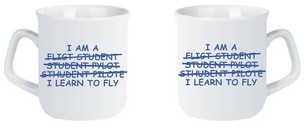 I Learn To Fly: I am Student Pilot MOK-LEARN
