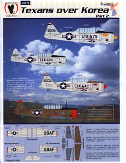 Texans over Korea Part 2 ES48131