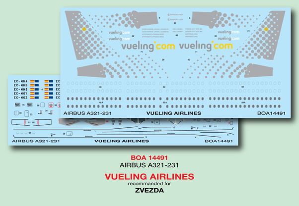 Airbus A321 (Vueling Airlines) boa14491