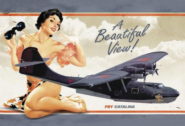 PBY Catalina A Beautiful View! Pin up metal poster metal sign AV0016