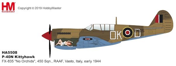 P40N Kittyhawk FX-835