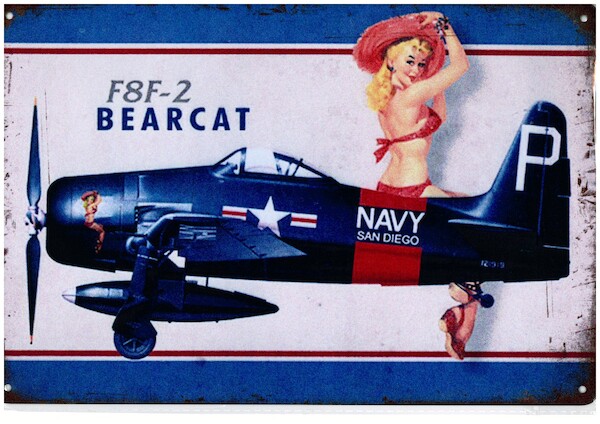F8F Bearcat metal poster metal sign - pin up YD2355B