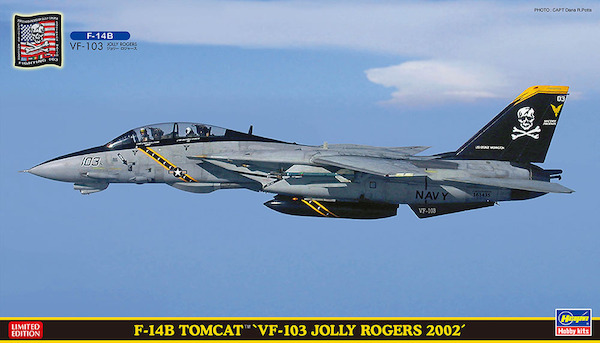Grumman F14B Tomcat