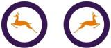 SAAF Roundel with Springbok 48
