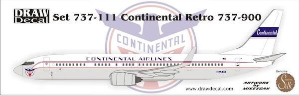 B737-900 (Continental Retro - Blue Skyways) 44-737-111