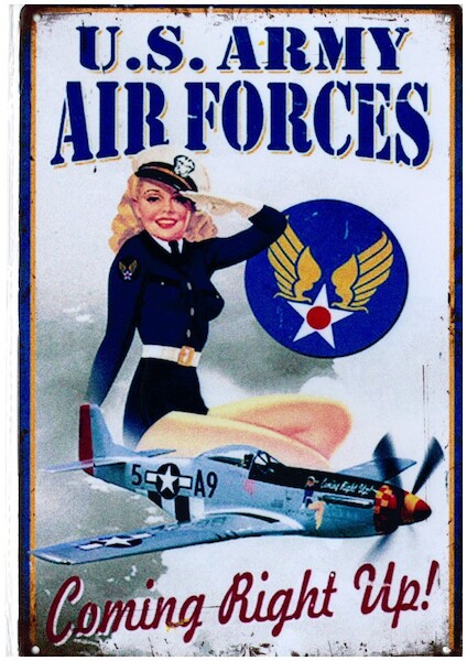 vintage air forces