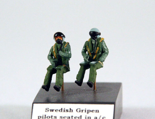 2x Swedish Gripen pilots 721128