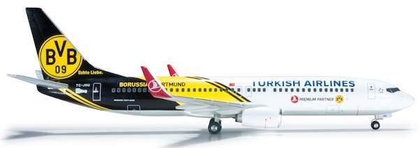 B737-800 (Turkish Airlines
