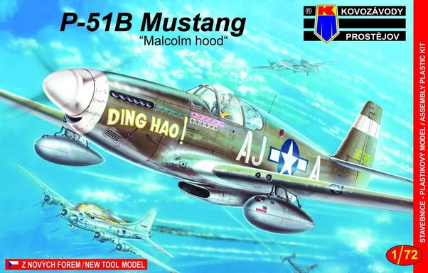 P51B Mustang
