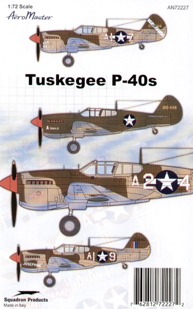 Tuskegee P-40L Warhawks AMD48-800