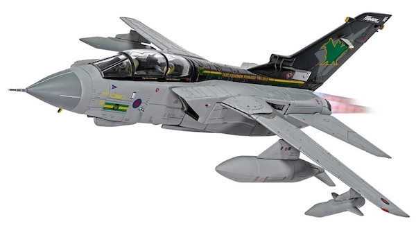 Tornado GR4 RAF, ZG775, No.IXB Squadron Retirement Scheme, RAF Marham, March 2019  AA33620