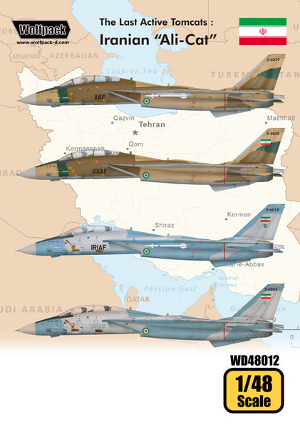 The Last Active Tomcats - Iranian