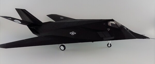 F117 Stealth US Air Force