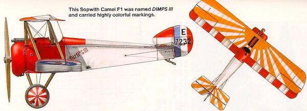 Sopwith F1 Camel 'Colourful Training Camel' CPcamel