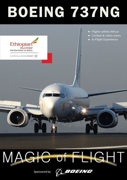Boeing 737-800 NG (Next Generation) Ethiopian Airlines 0720189750090