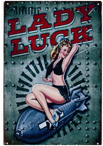 Lady Luck Pin up metal poster metal sign YD2358F