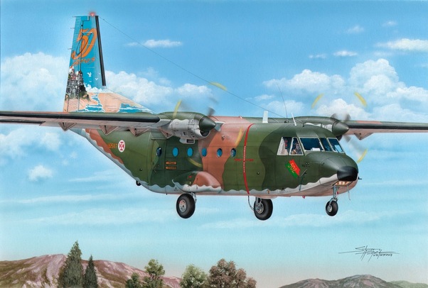 CASA C-212-100 Aviocar Portugese Tail art SH72376