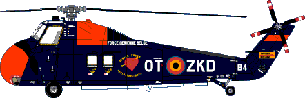 Sikorsky S58 Stencilling & Special markings D4841
