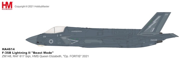 F35B Lightning II, ZM148 617 Sqn Dambusters Royal Air Force HMS Queen Elizabeth Operation Fortis 2022 HA4614