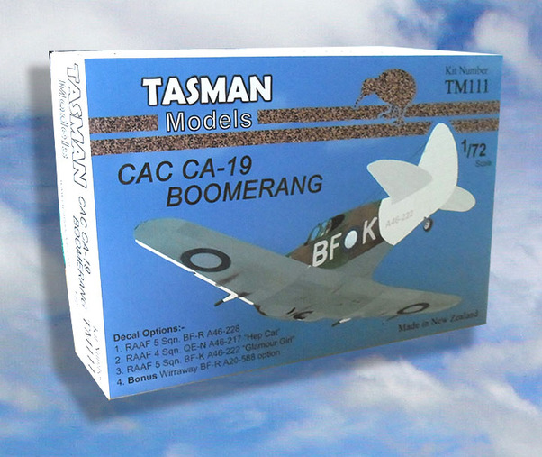 CAC Ca19 Boomerang TM111